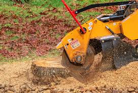 Best Emergency Tree Removal  in Seven Oaks, SC